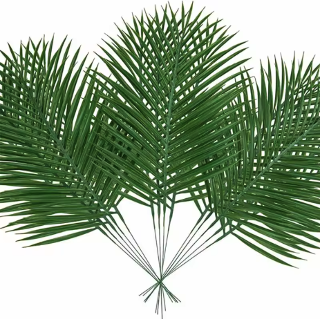 Feuille de palmier en lot de 10 pièces