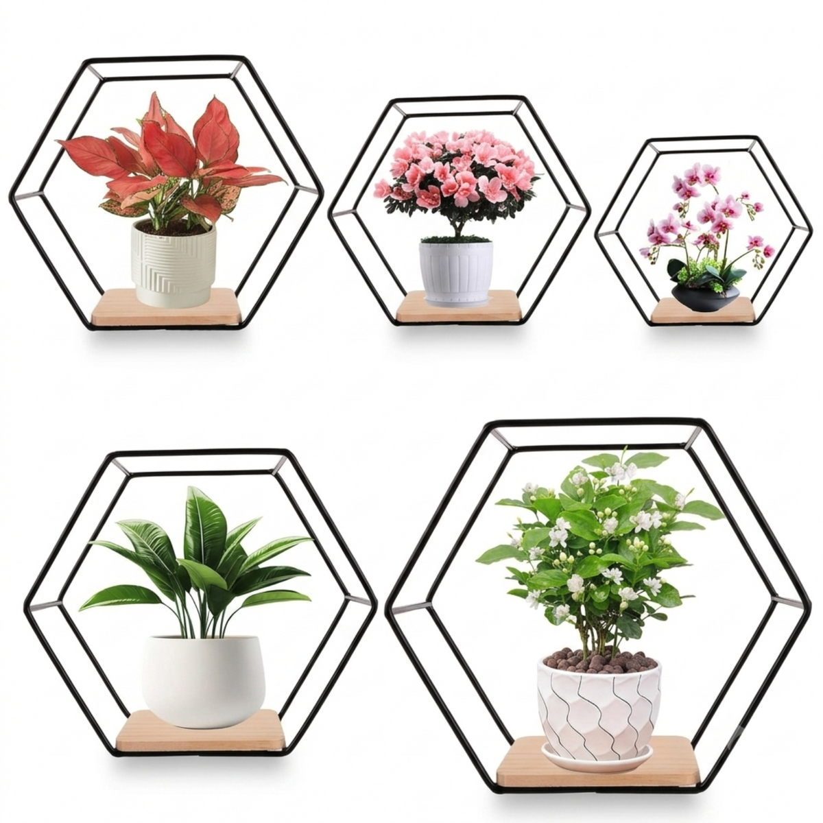 Étagères hexagonales - lot de 5