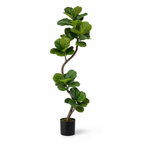 Ficus Lyrata artificiel en forme de S